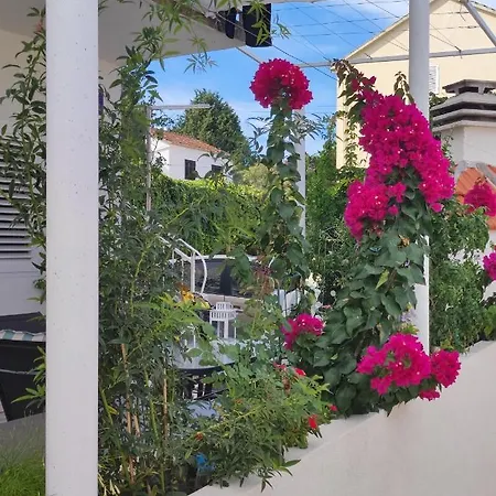 Apartmani Branka Drače Kültér fotó