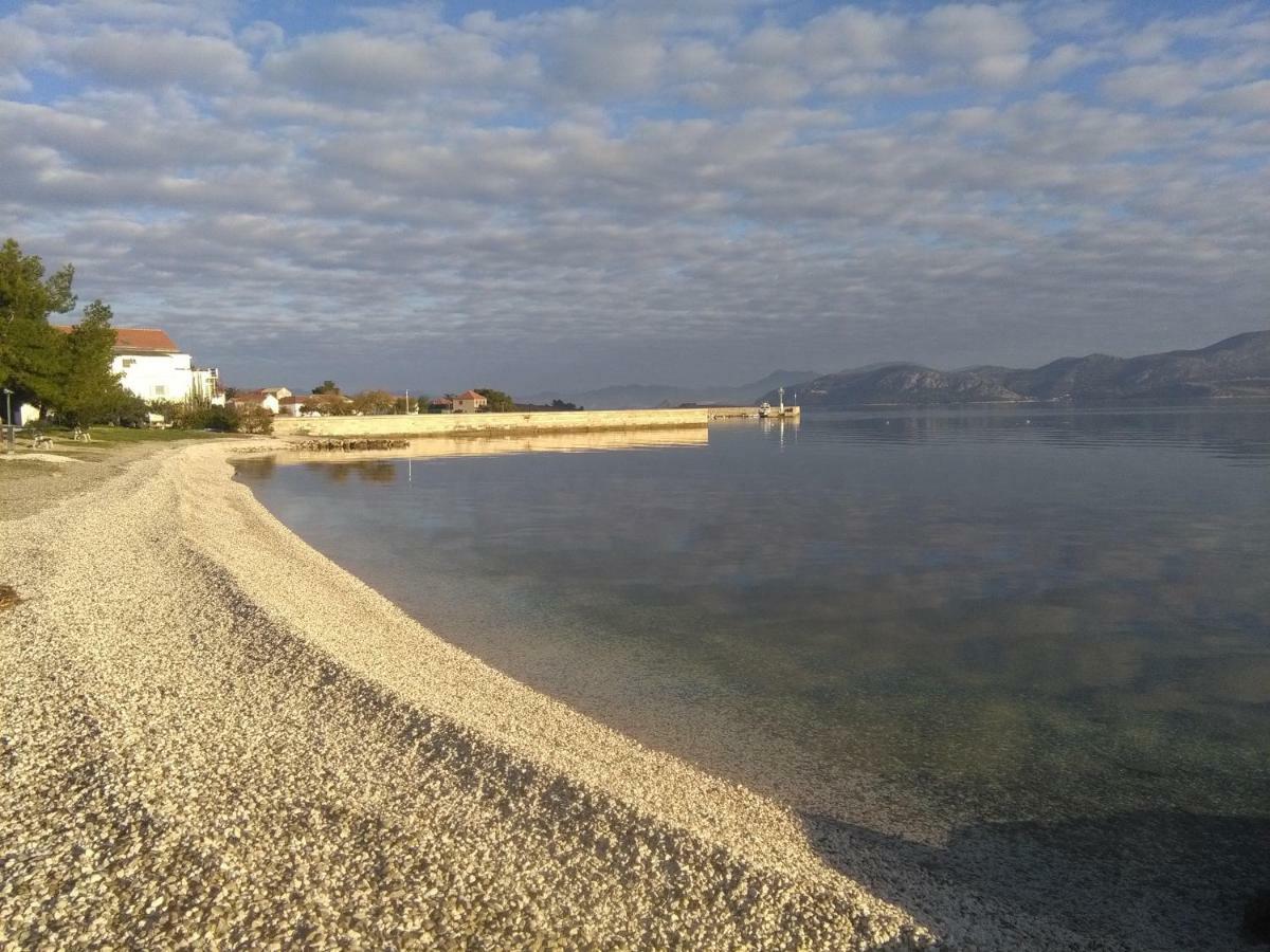 Branka Apartman Drače