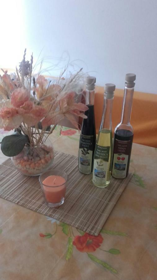 Apartman Branka